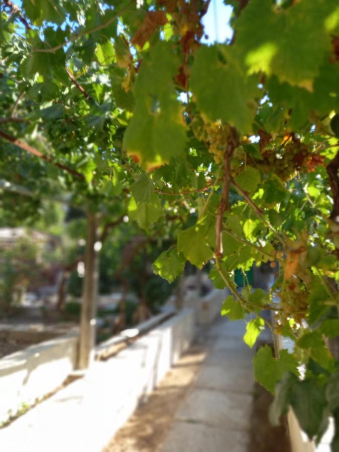 Stone Oasis Vito Apartman Dubrovnik Kültér fotó