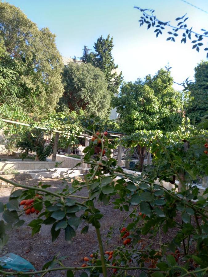 Stone Oasis Vito Apartman Dubrovnik Kültér fotó